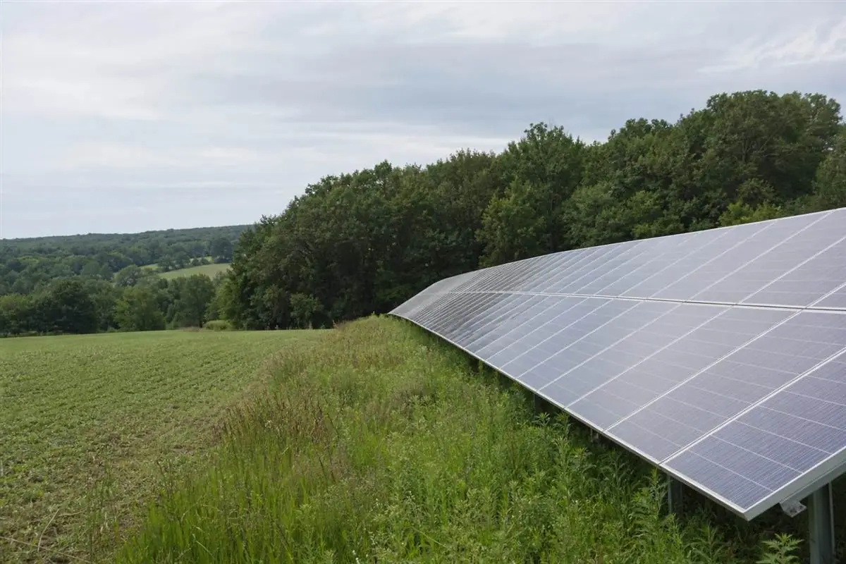 Solar panels installed along the edge of a rural farm field